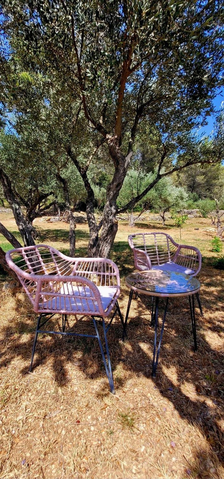 Villa Au Petit Bonheur Carnoules  Esterno foto